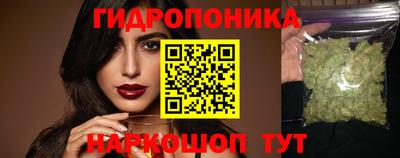 spice Будённовск