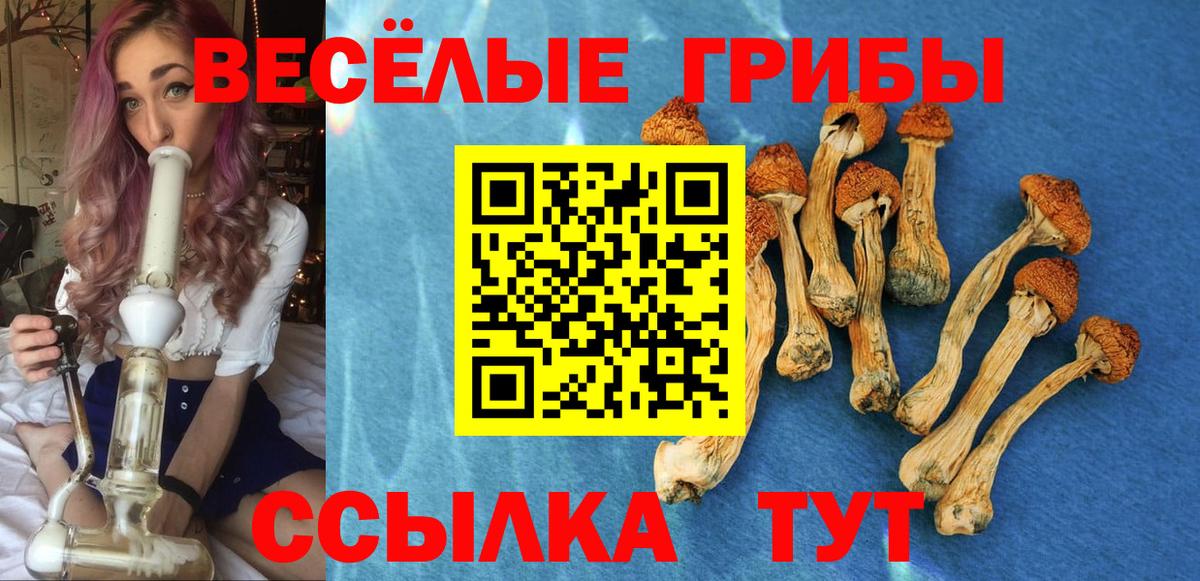 Галлюциногенные грибы мицелий  Вход с VPN  Галлюциногенные грибы мухоморы  купить   Междуреченск 